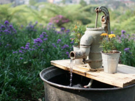 Japangarten Beeindruckt Mit Wasserstelle Windspiel Und Steinlaterne