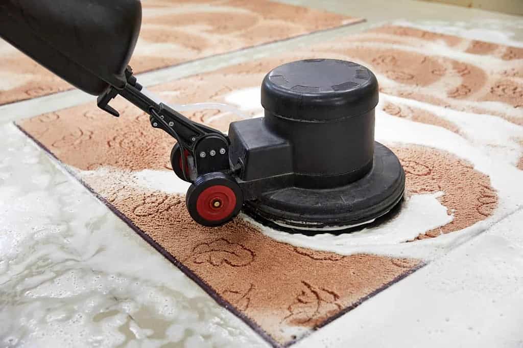 Eine professionelle Teppichreinigung kann mit einer Sprühextraktionsmaschine geschehen