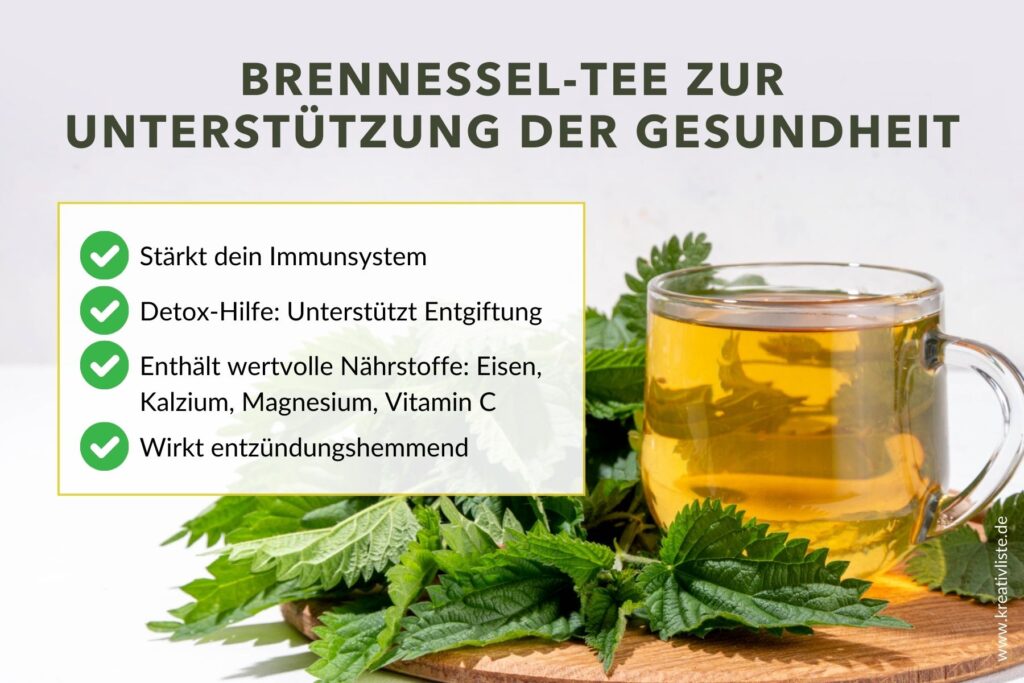 Brennesseltee hilft dir bei der Entgiftung